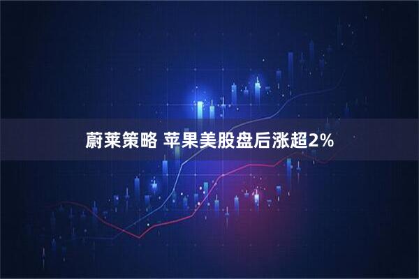 蔚莱策略 苹果美股盘后涨超2%